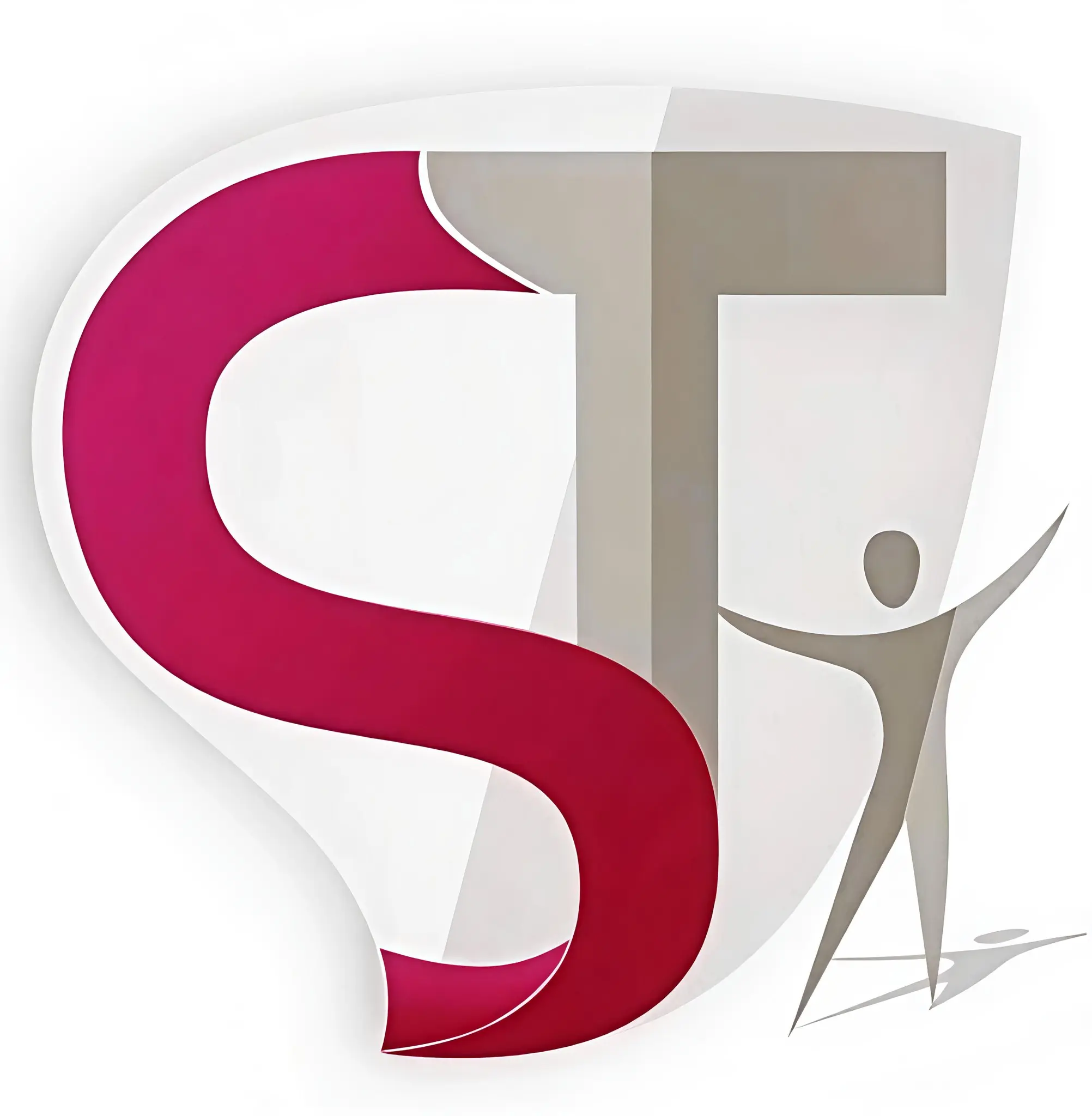 dr sahils advanced physiotherapy logo