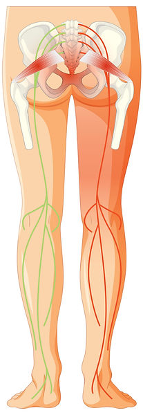 knee-pain-last-img