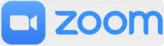 zoom call for online consultation
